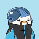 Jay Peg's avatar